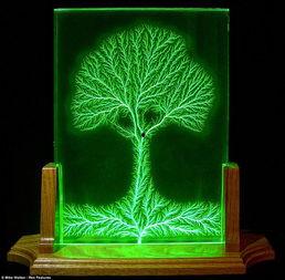 成人闪电雕刻视频大全,揭秘成人闪电雕刻艺术之美