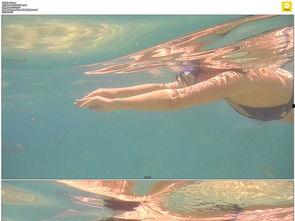 成人女性游泳视频大全,女性游泳风采集锦