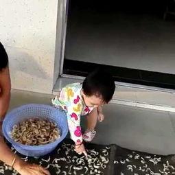 成人上班带娃视频大全,温馨育儿视频大盘点