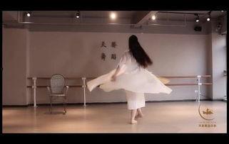 成人舞蹈高潮版教学视频,成人舞蹈高潮版教学视频精华解析