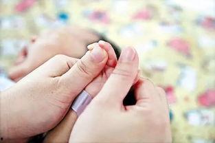 成人按摩教学视频教程,轻松掌握专业按摩技巧