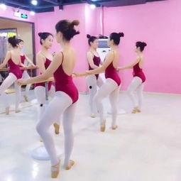 放假中国舞成人舞蹈视频,跟随中国舞成人舞蹈视频，轻松入门舞林秘籍