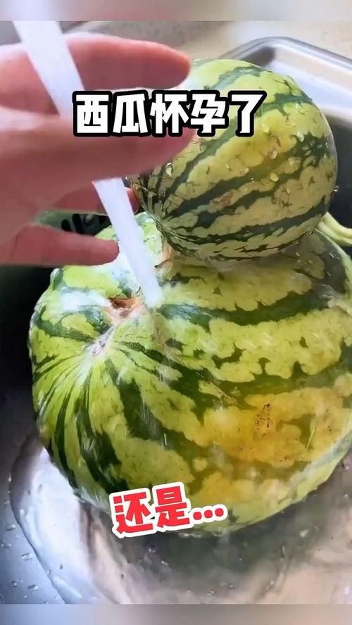 吃鲜瓜搞笑视频下载安装