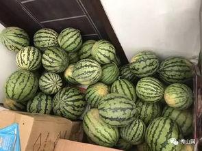 介休今天的吃瓜视频,揭秘当地美食背后的故事