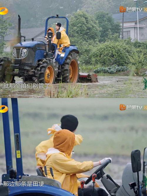 拖拉机吃瓜的视频,趣味横生的田园生活瞬间