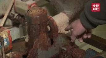 平江县吃瓜事件视频,一场网络热议的乡村误会